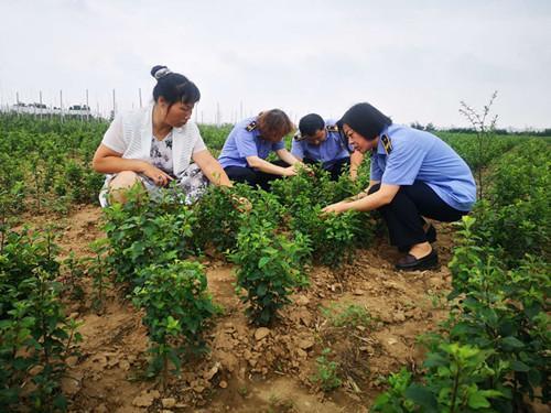 白水县农技中心召开《农作物病虫害防治条例》宣讲会
